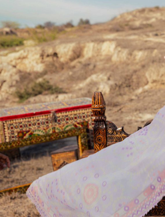 Adan's Traditional Attire Ready To Wear Lawn 2025 - Image 14